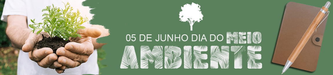 MEIO AMBIENTE 